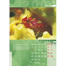 настенный календарь, 12 листов, формат А3